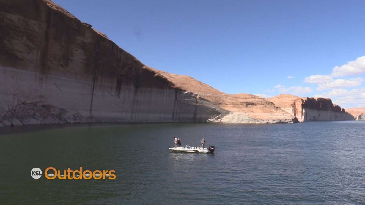 Lake Powell Walleye Tagged Fish Contest