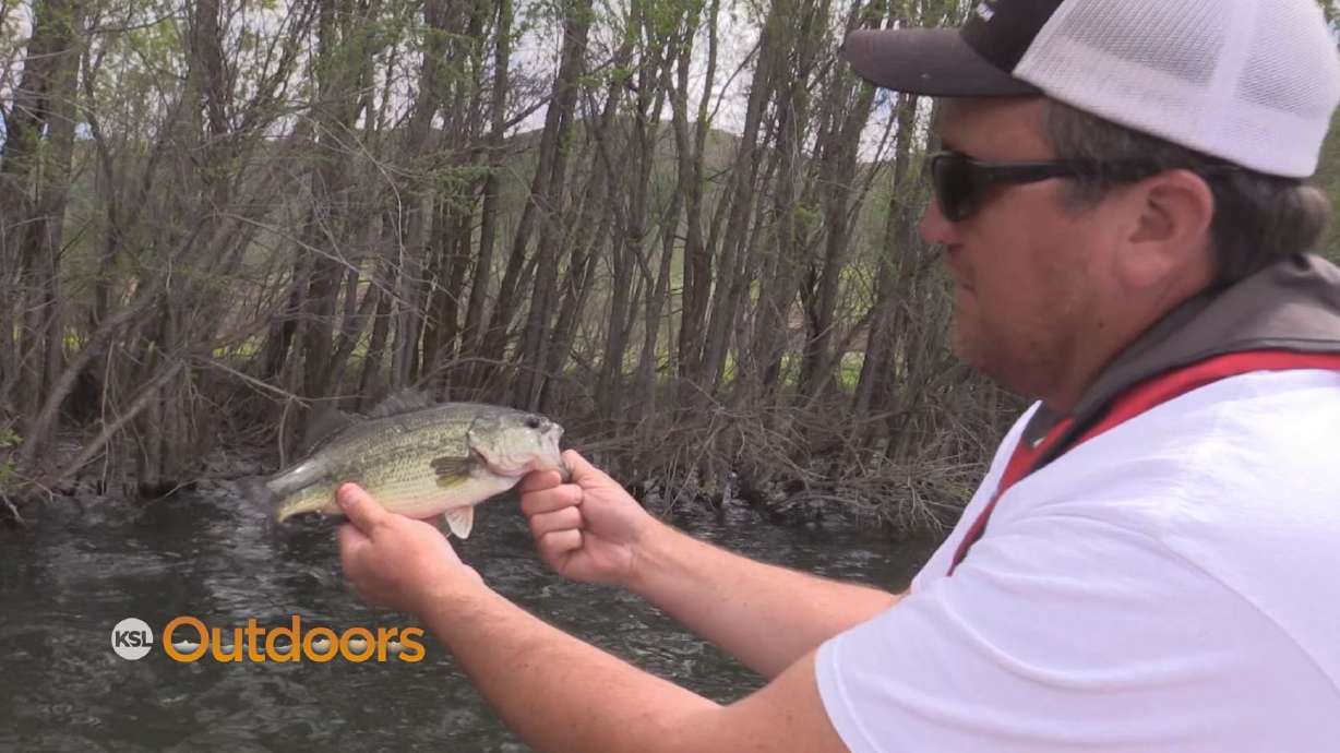 Fishing for Largemouth Bass at Manuta Reservoir