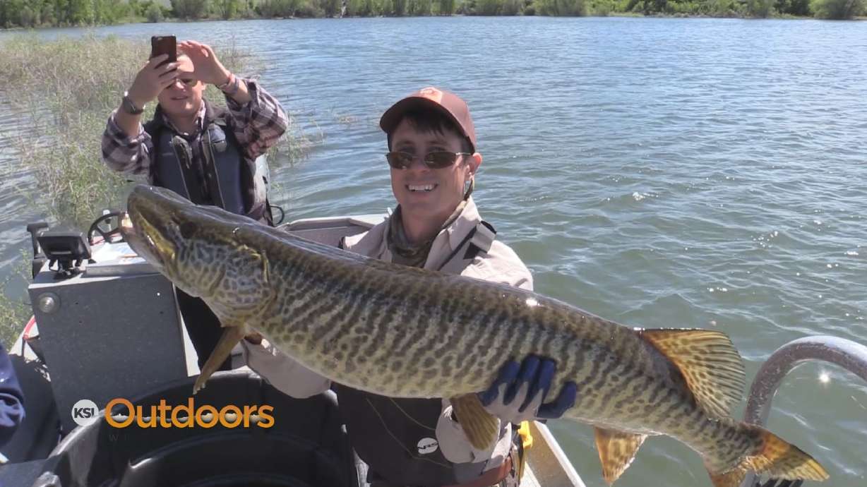 Fishing for Tiger Muskie at Pineview Reservoir
