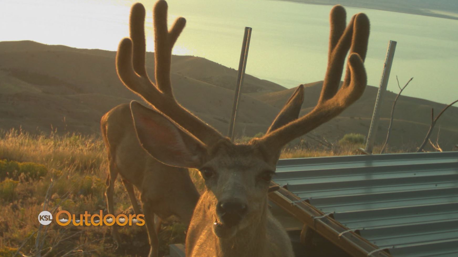 Installing Deer Guzzlers in Provo Canyon