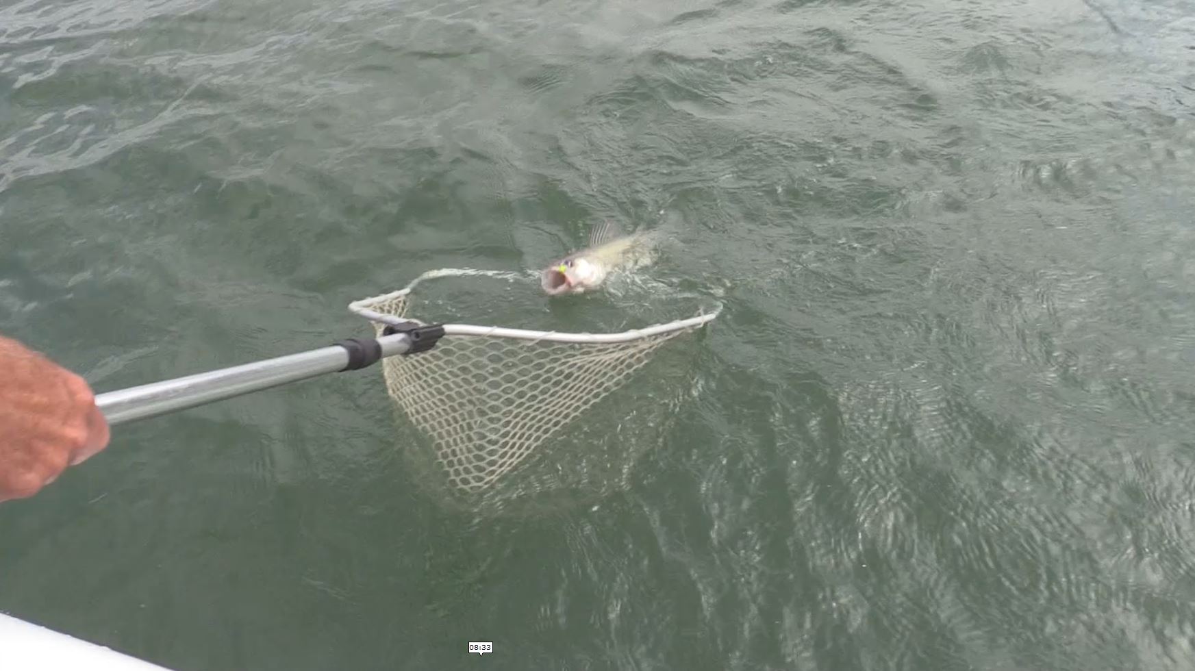 Starvation Reservoir Walleye and Smallmouth Fishing