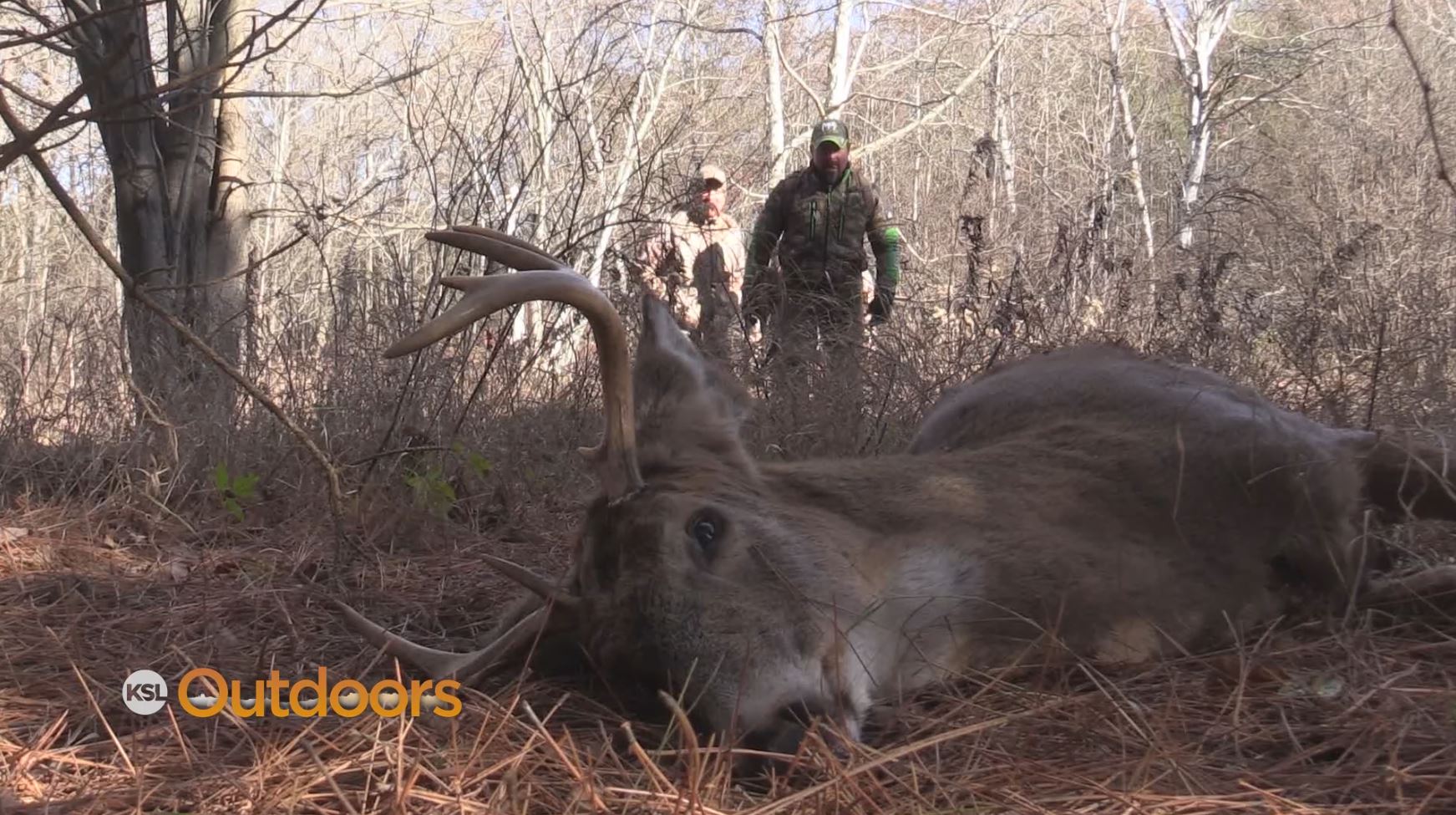 Bow Hunting Whitetail Deer in Wisconsin