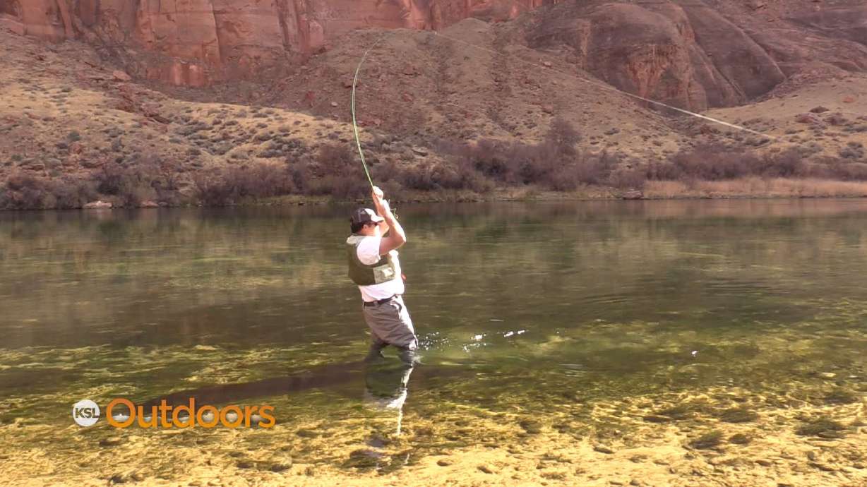 Fly Fishing the Colorado River with Lees Ferry Anglers