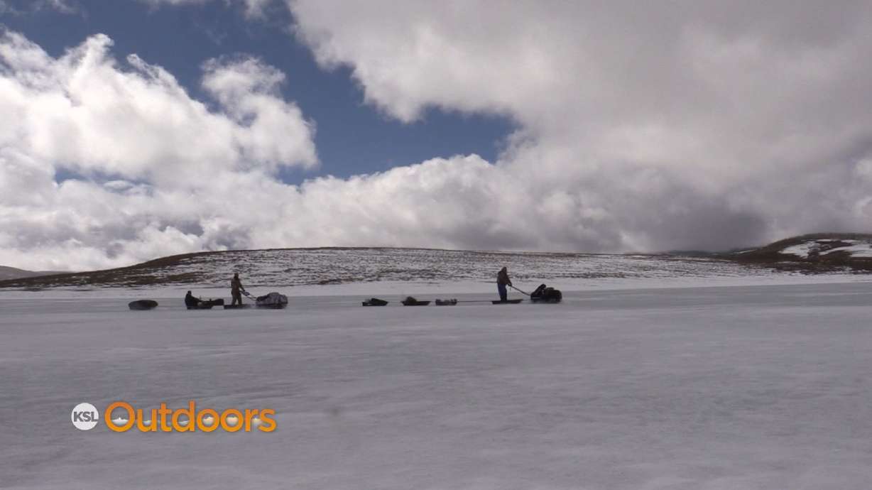 Ice Fishing Strawberry with Snow Dogs