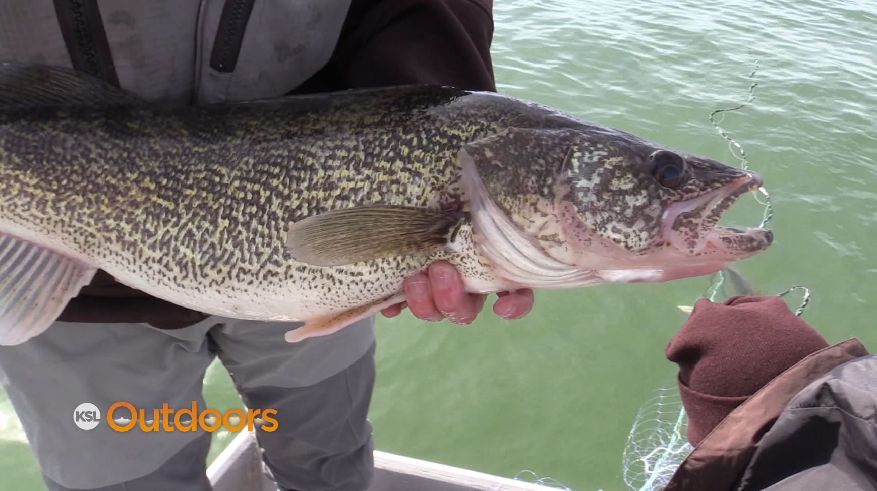 Big Walleye at Starvation Reservoir