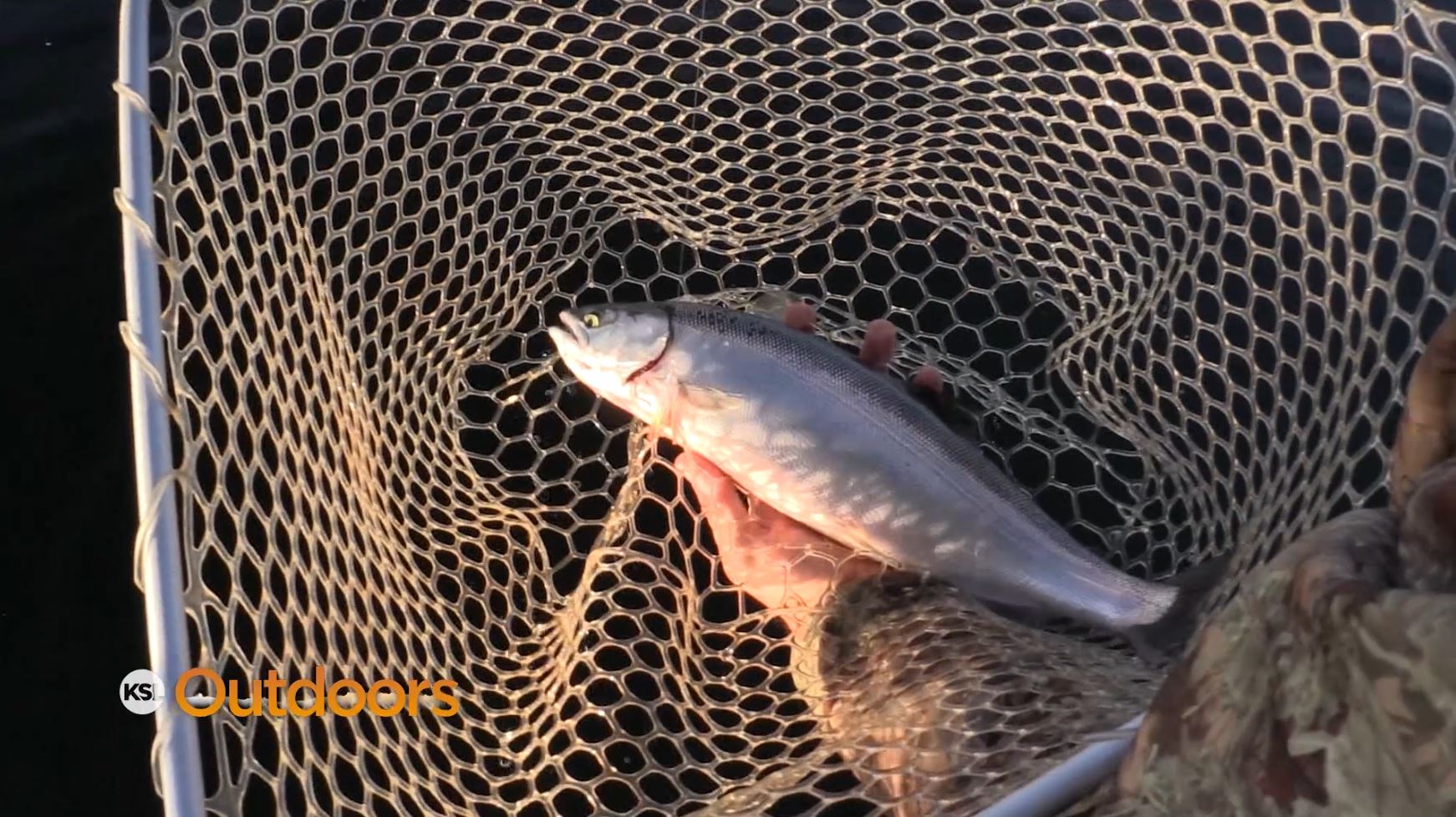 How to Catch Kokanee at Strawberry Reservoir