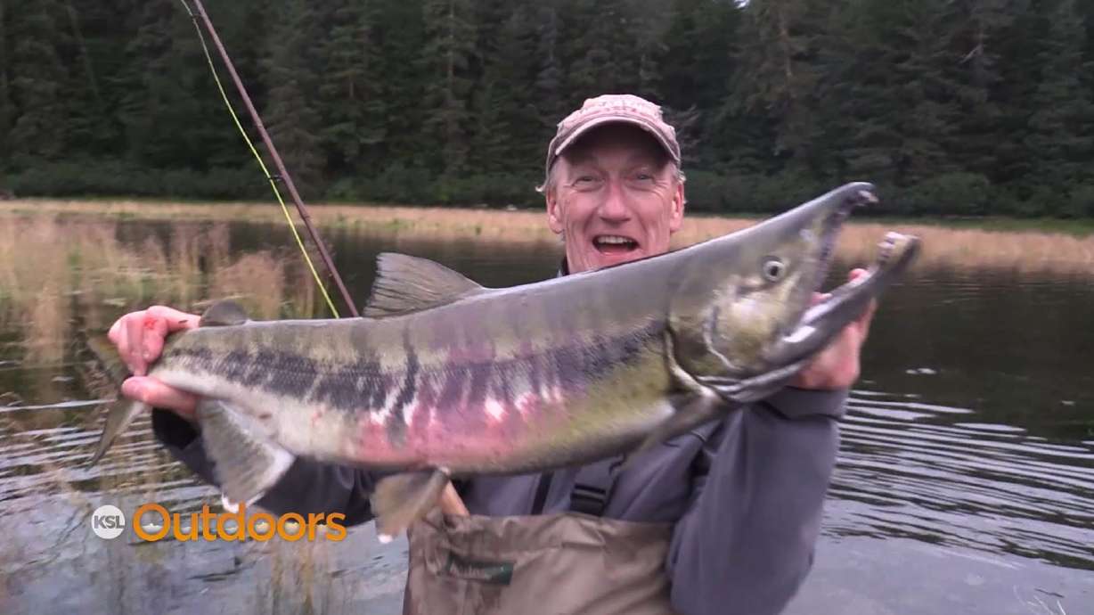 2018 Alaska Fishing at Pybus Point Lodge Part 2