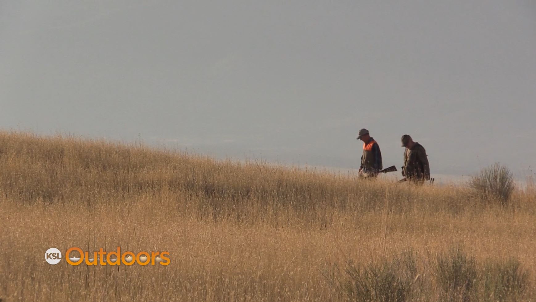 Utah Dove Hunt Opening Day