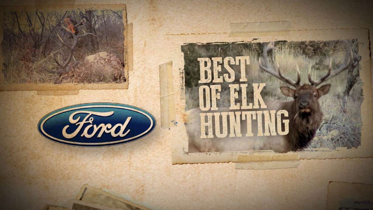 Best of Elk Hunting
