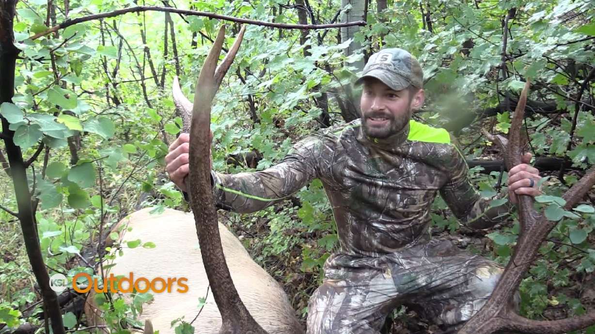 Wasatch Archery Elk Hunt with Strawberry Bay Outfitters
