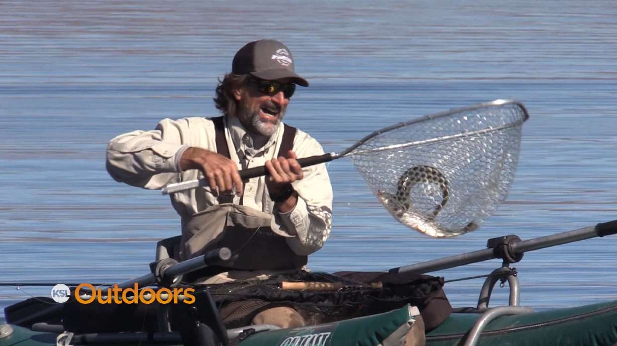 Fly Fishing at Strawberry Reservoir with High Country Fly Fishers