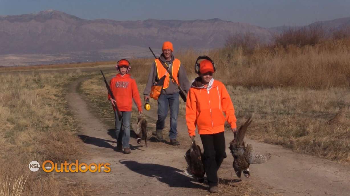 First-Time Pheasant Hunters