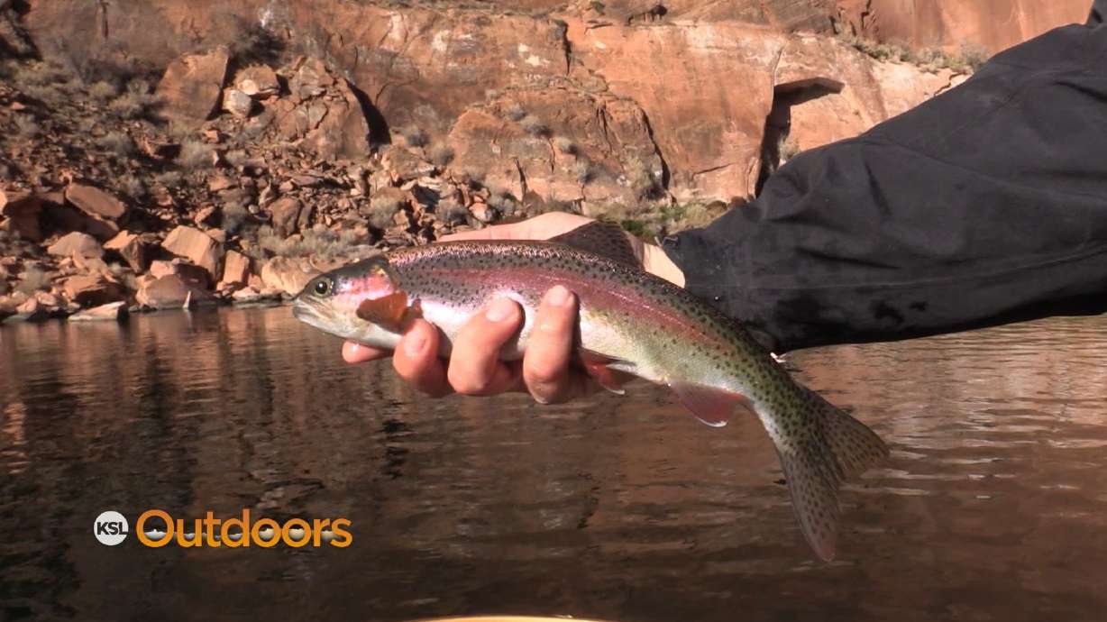 KSL Outdoors Best Stories of 2018