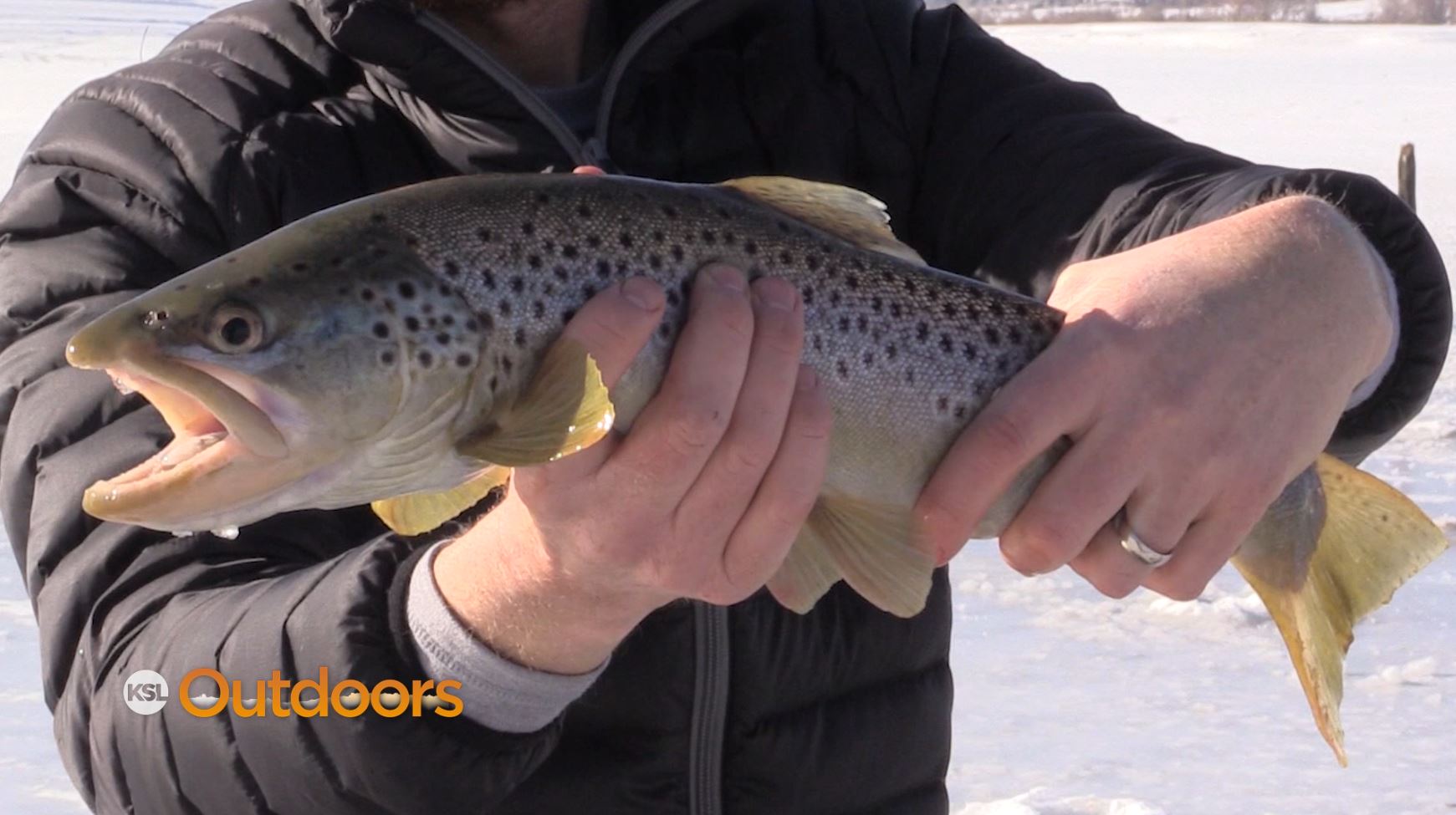 Fast Ice Fishing at Steinaker Reservoir