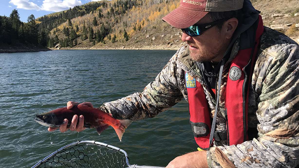 Fishing is Hot at Strawberry Reservoir in the Fall