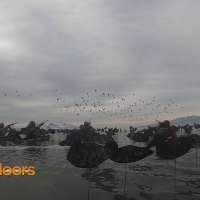 Duck Hunting the Great Salt Lake with Delta Waterfowl