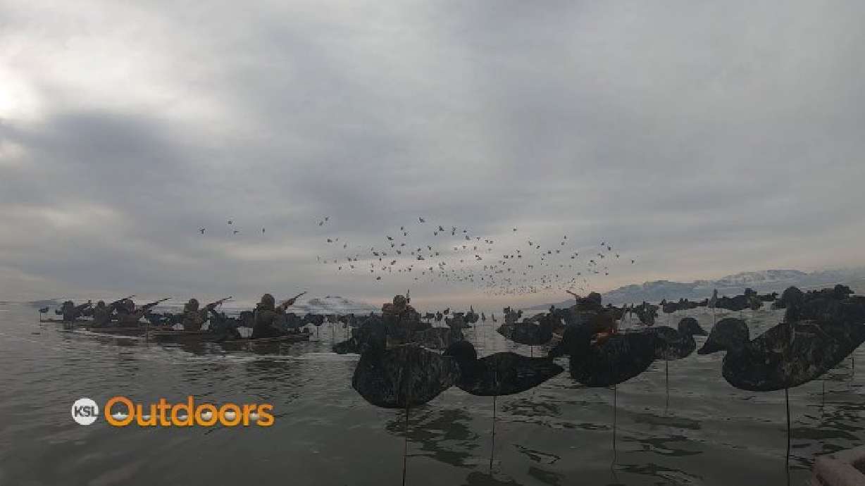 Duck Hunting the Great Salt Lake with Delta Waterfowl