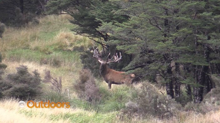 Best KSL Outdoors Stories of 2019