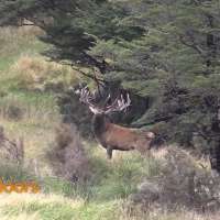 Best KSL Outdoors Stories of 2019