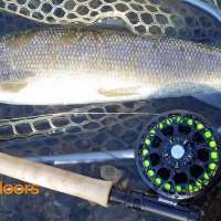 Fish Tech Fishing Tip: Targeting Winter Whitefish