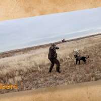 Snapshot of the Week: December 14, 2019