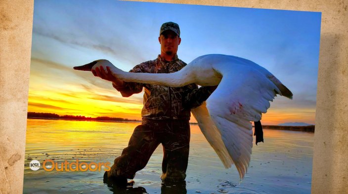 Snapshot of the Week: November 23, 2019