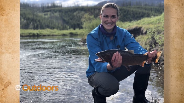 Snapshot of the Week: November 16, 2019