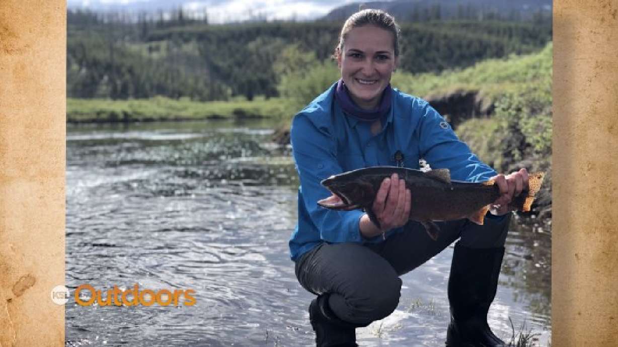 Snapshot of the Week: November 16, 2019