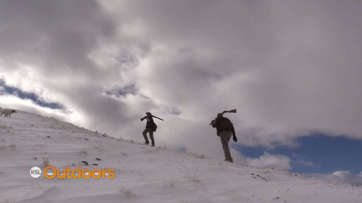 West Desert Chukar Hunt