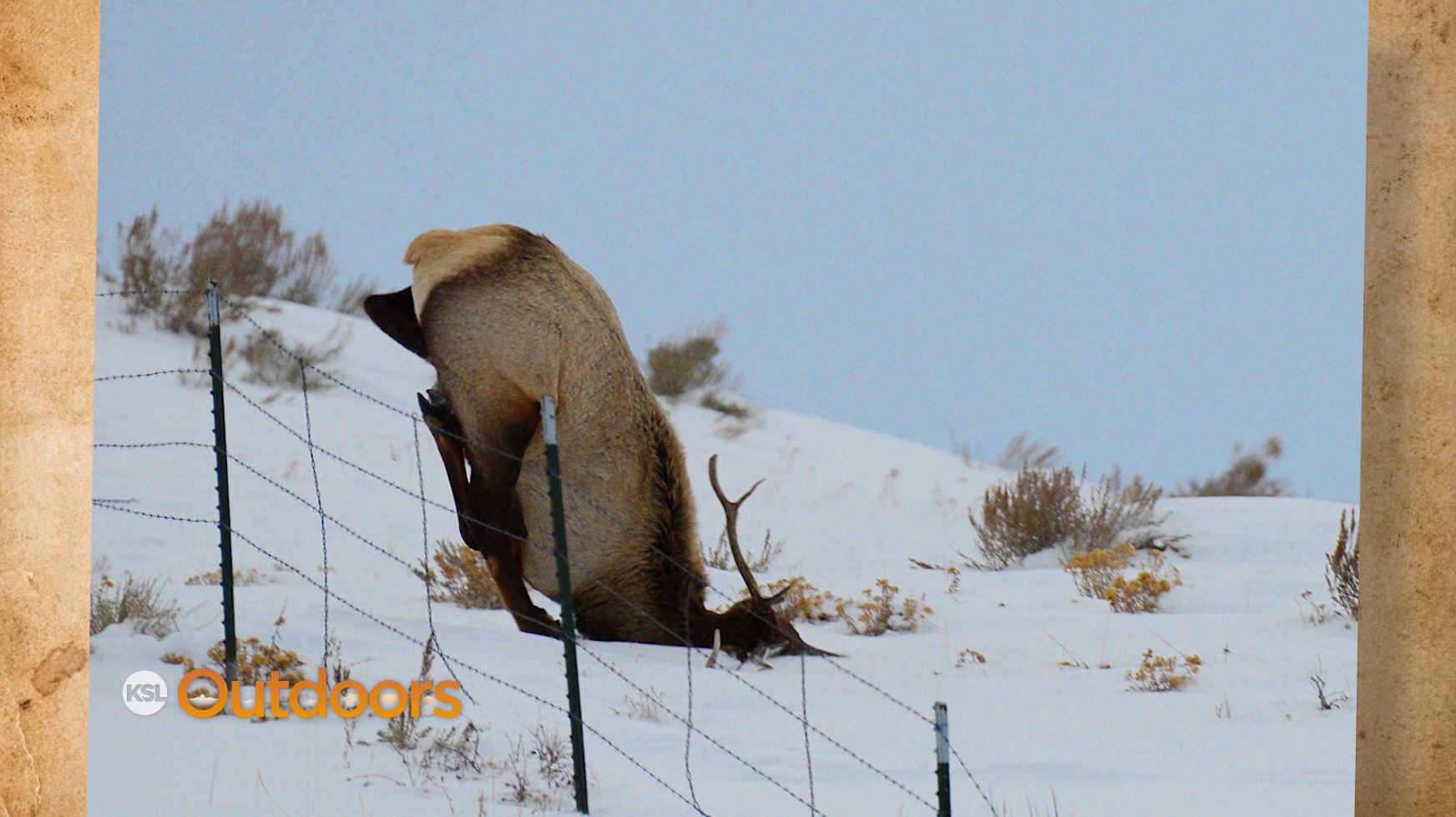 Snapshot of the Week: February 8, 2020