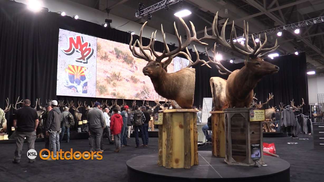 2020 Western Hunting and Conservation Expo Highlights