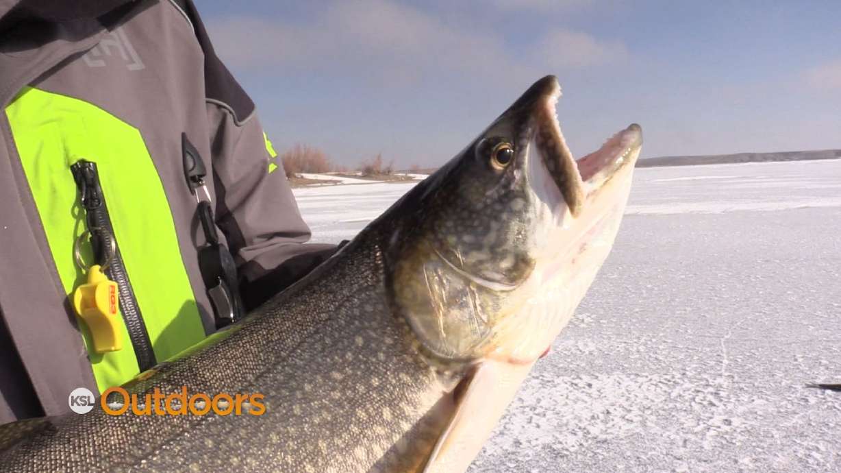 Flaming Gorge Ice Fishing Slam