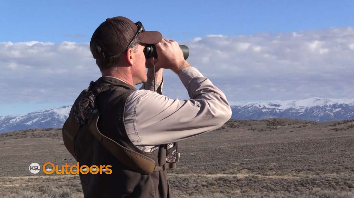 Tracking Utah's Greater Sage Grouse