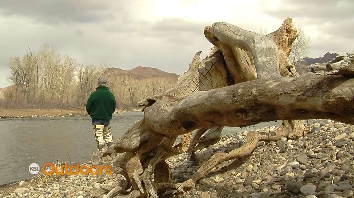 Fish Tech Fishing Tip: Fly Fishing in Spring Runoff
