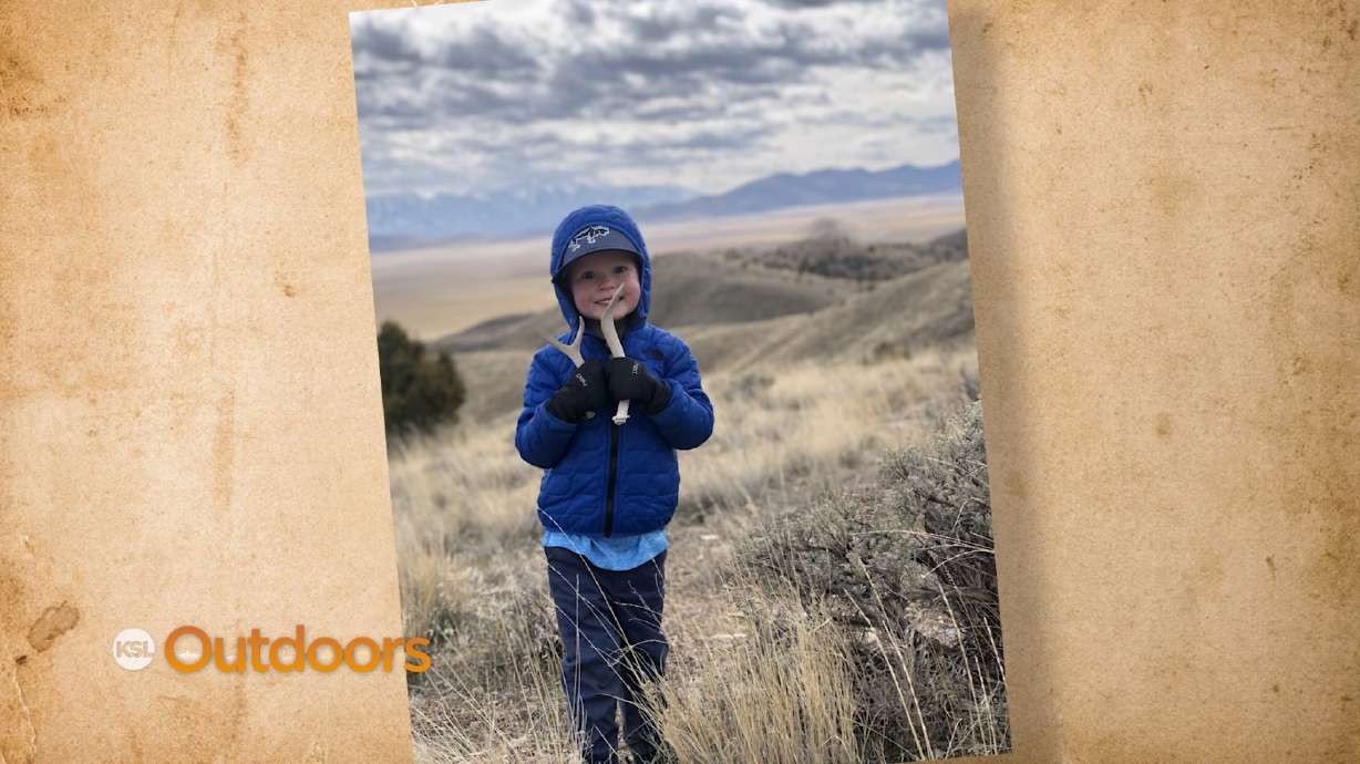 Snapshot of the Week: May 23, 2020