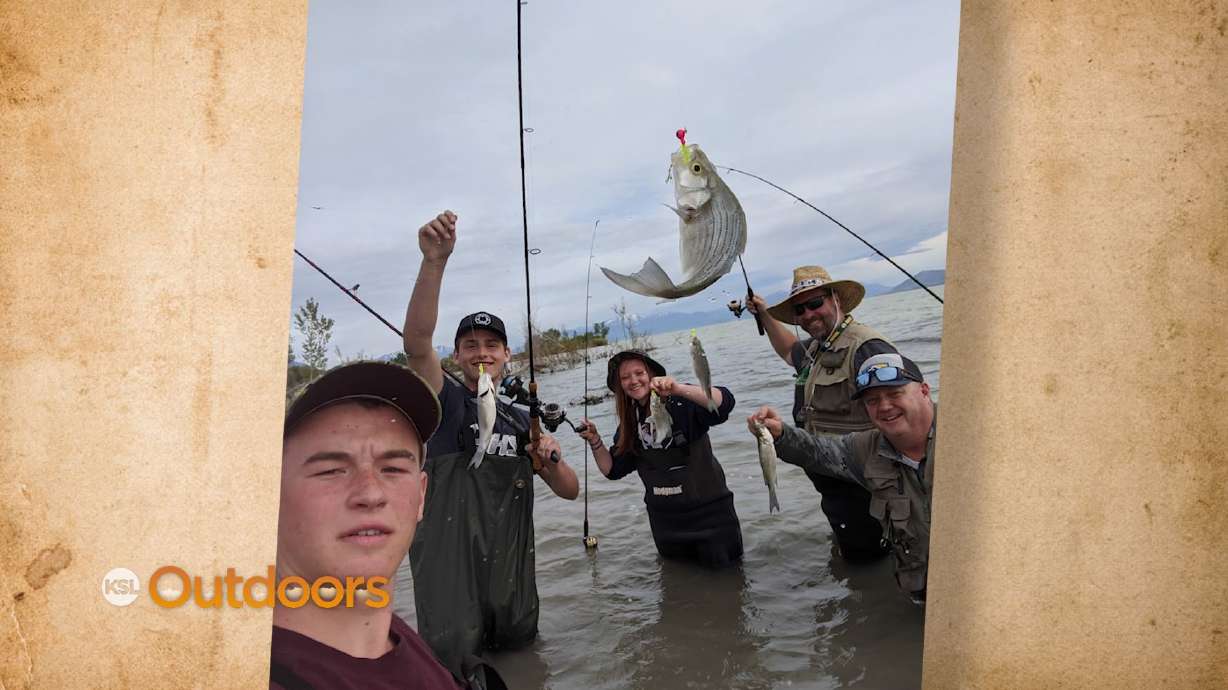 Snapshot of the Week: May 30, 2020