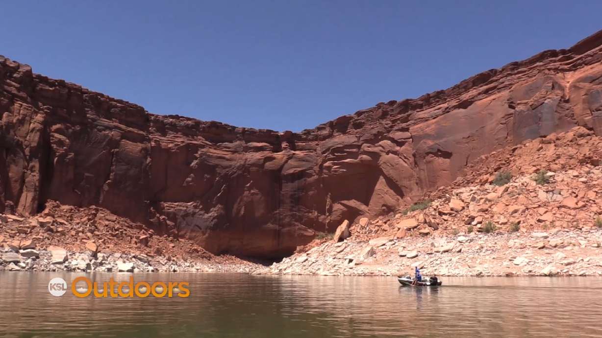 Fishing for a Mixed Bag at Lake Powell