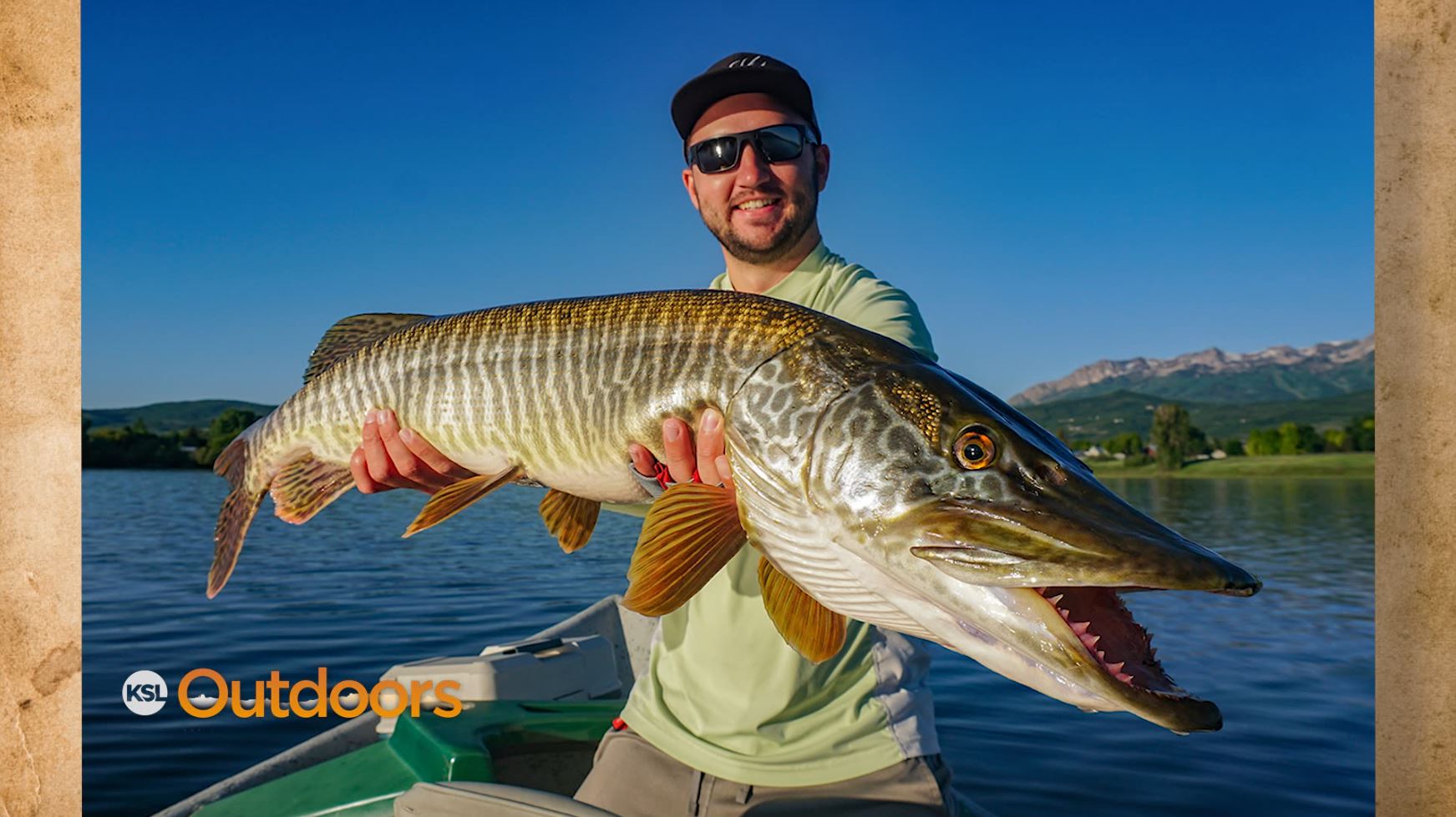 Snapshot of the Week: June 27, 2020