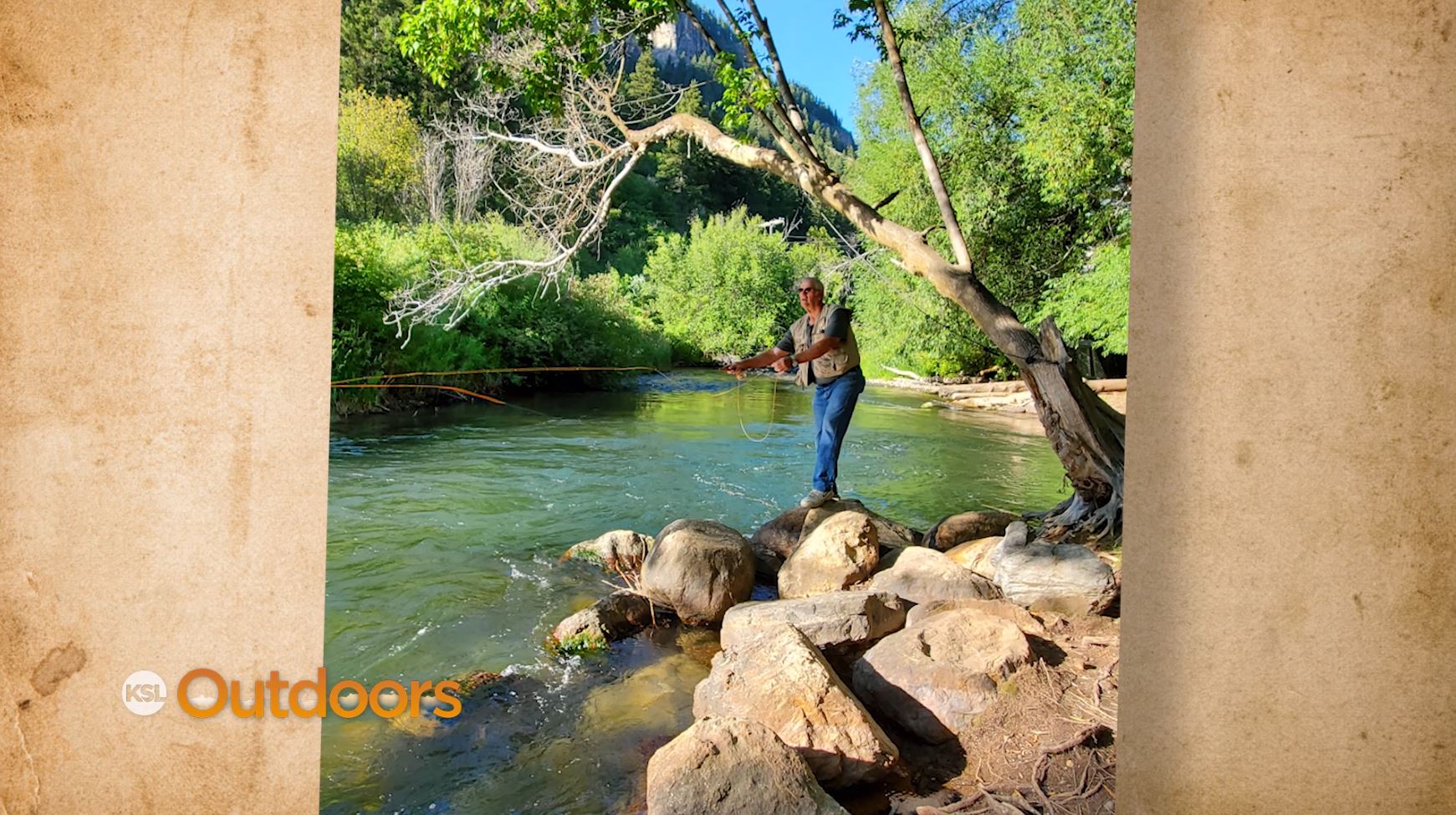 Snapshot of the Week: July 25, 2020