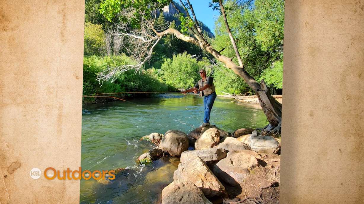 Snapshot of the Week: July 25, 2020