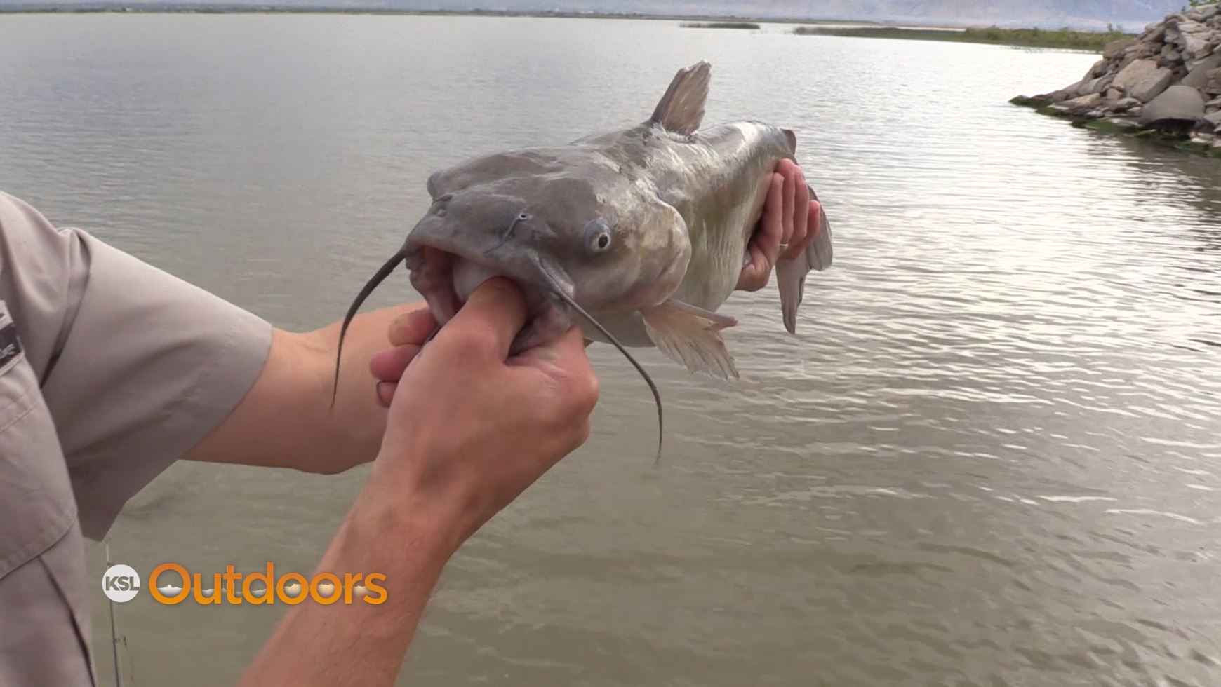 Fish Tech Fishing Tip: How to Catch Catfish at Night