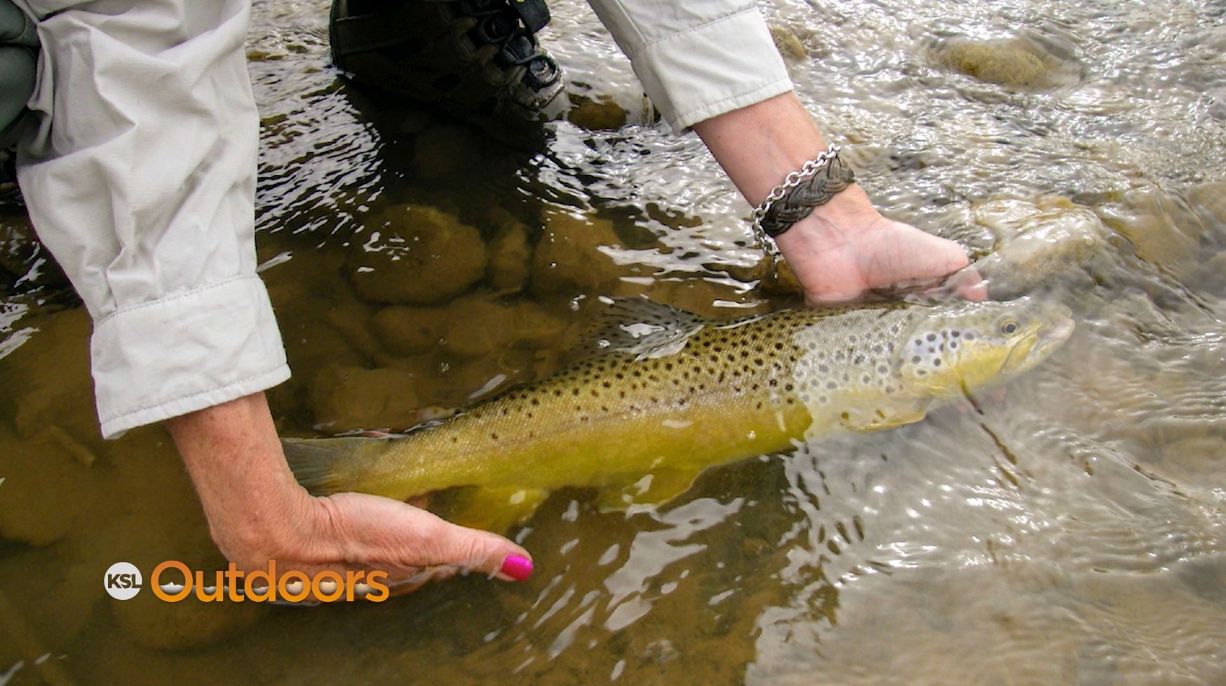 Fish Tech Fishing Tip: Keep Fish Alive in Hot Weather