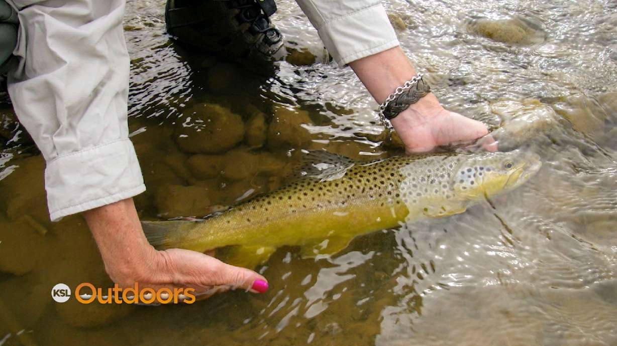 Fish Tech Fishing Tip: Keep Fish Alive in Hot Weather