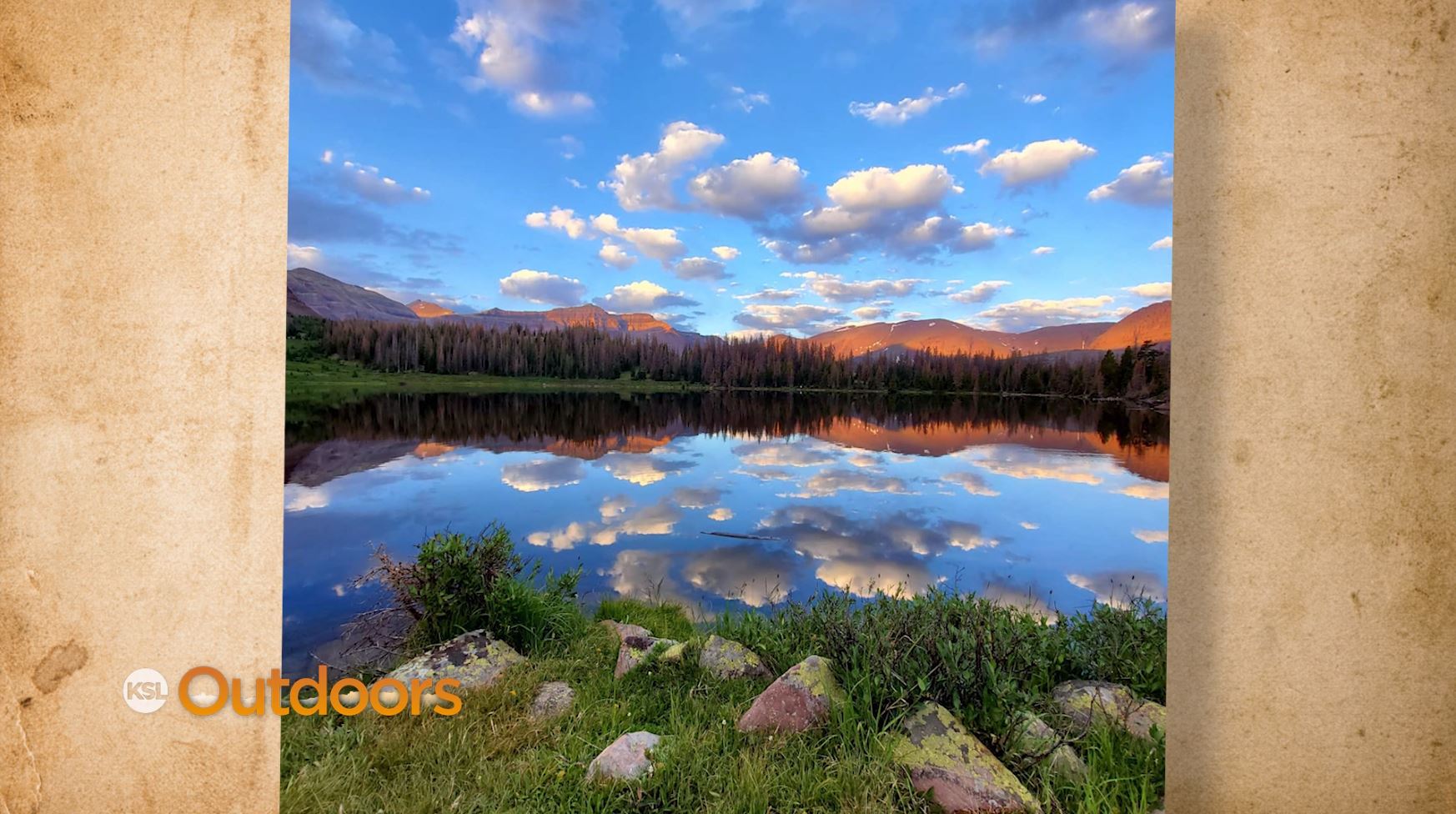 Snapshot of the Week: August 29, 2020