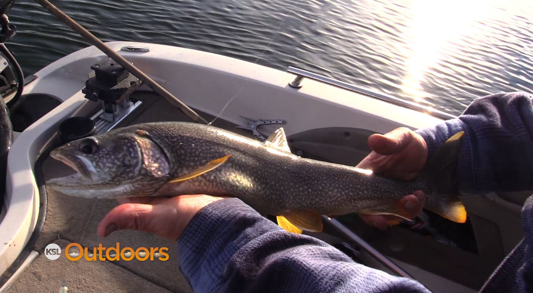 Pupulation Control Contest Happening Again at Flaming Gorge