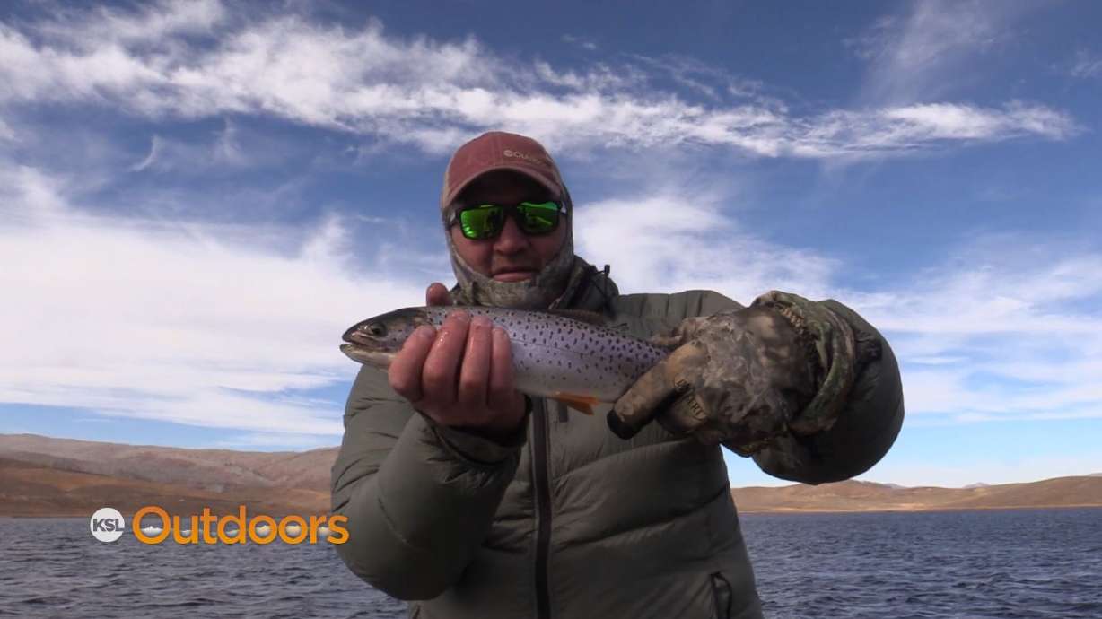 Fall Fishing at Strawberry and 2021 Ice Fishing Preview