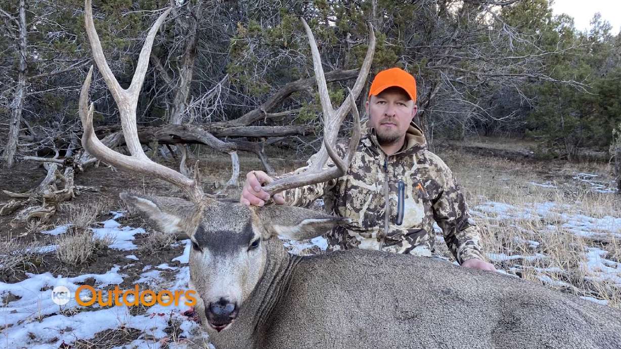 Hunting Colorado's Monster Muleys