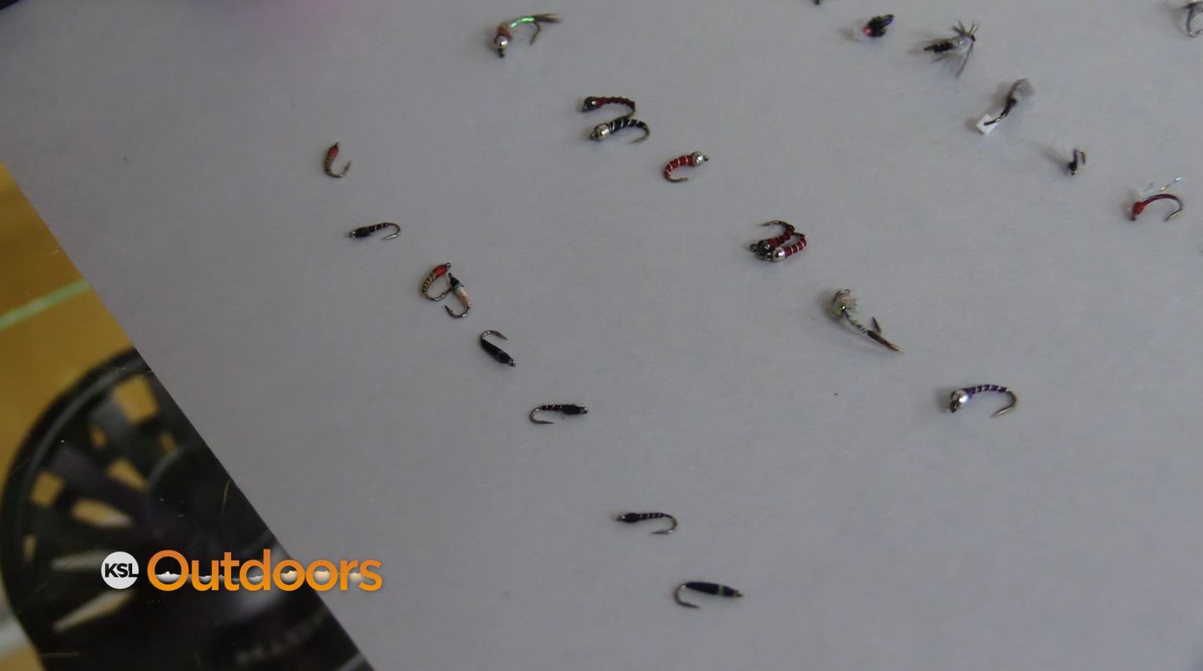 Fish Tech Fishing Tip: 2021 Midge Report