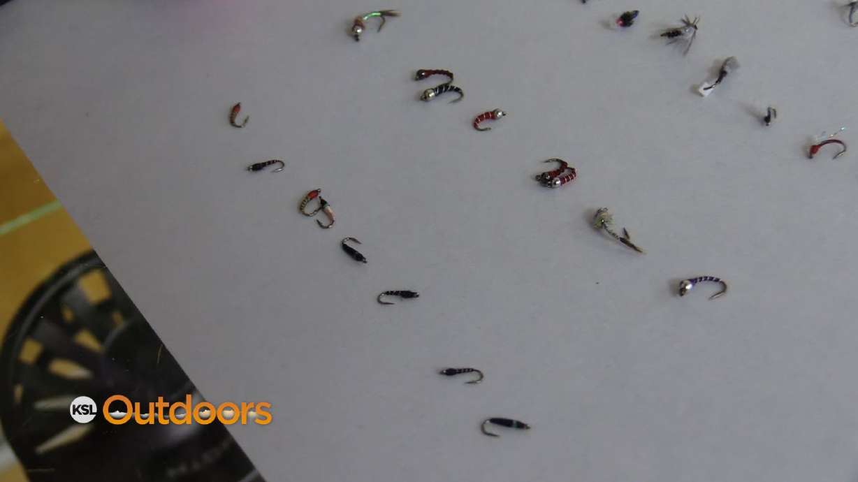 Fish Tech Fishing Tip: 2021 Midge Report