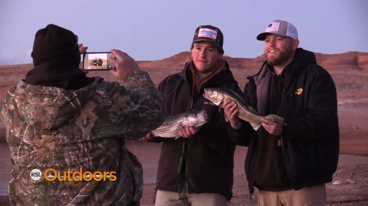 Lake Powell in January: Fishing for Walleye and Stripers